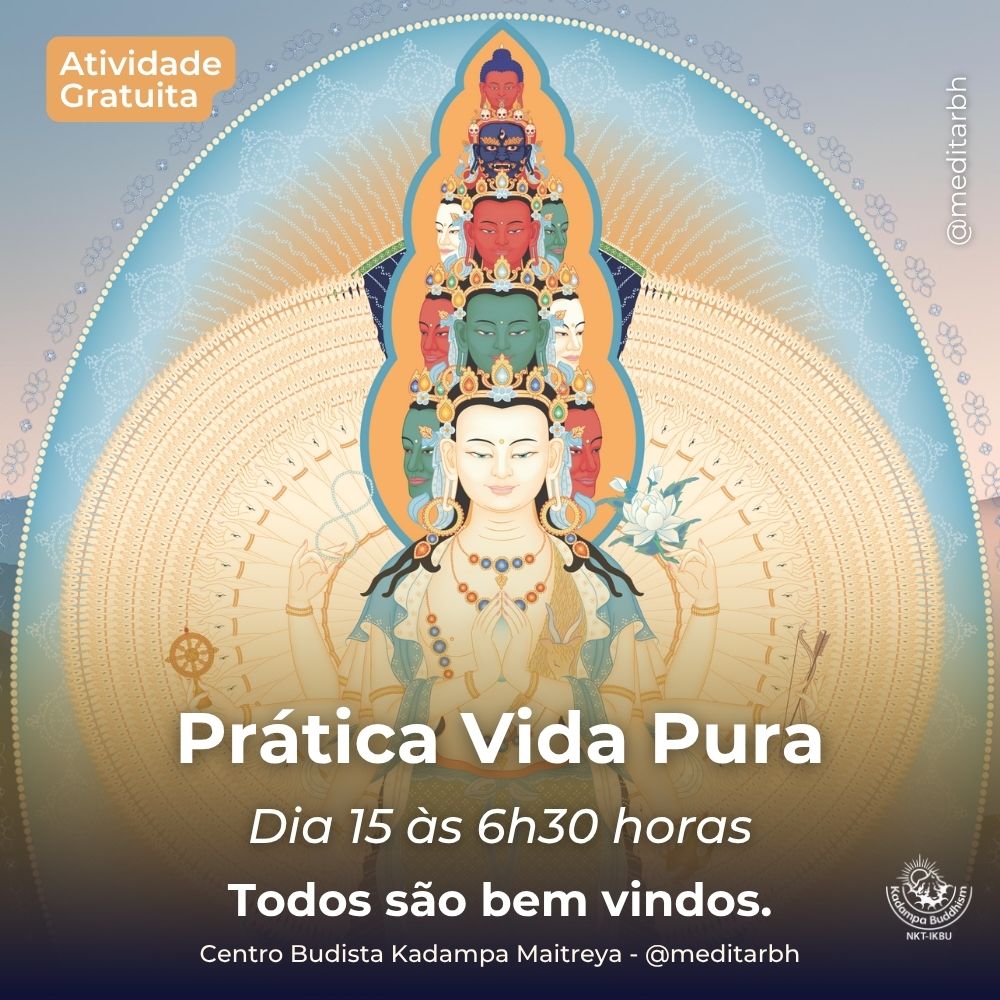 Prática Vida Pura